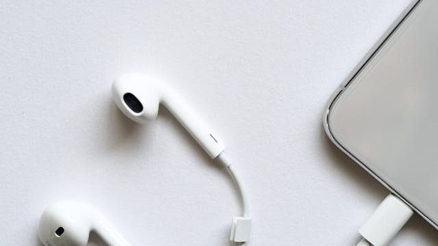 pexels-jessbaileydesign-983831